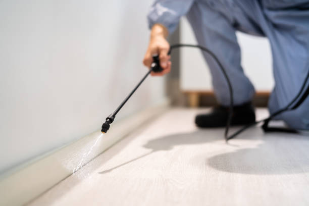 Licensed Termite Control service in Woodworth, LA - Nex Pest Control
