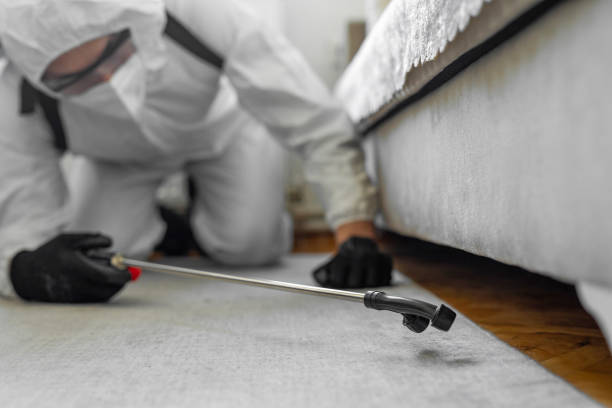 Professional Termite Control technician working in Woodworth, LA