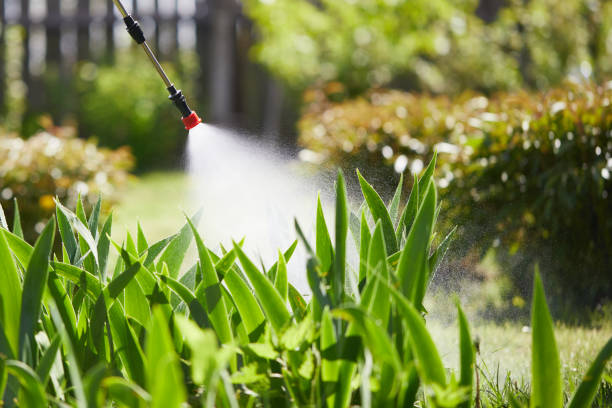 24/7 Emergency Termite Control experts in Woodworth, LA