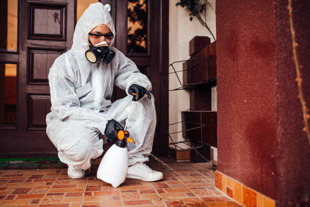 Reliable Termite Control contractor in Woodworth, LA by Nex Pest Control