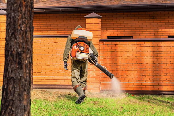 Trusted Termite Control service in Woodworth, LA - Nex Pest Control